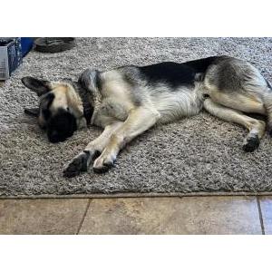 Lost 1 Saba (CA)