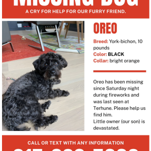 Lost 1 Oreo (NJ)