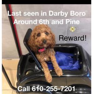 Lost 1 Nori (PA)