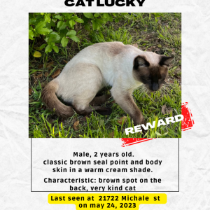 Lost 2 Lucky (CA)
