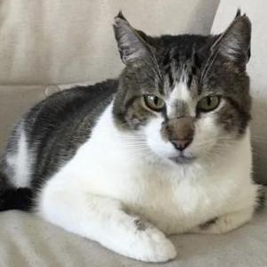 Lost 2 Benson (CA)