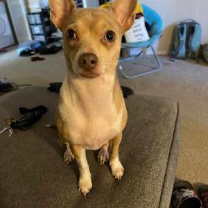 Lost 1 Macy (MD)