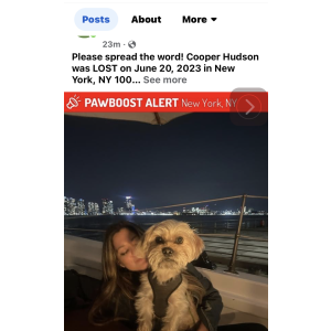 Lost Dog Copper Hudson