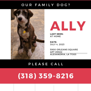 Lost Dog Ally