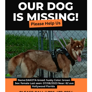 Lost Dog Dakota