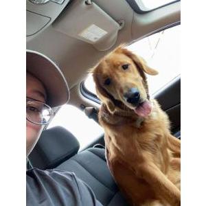 Lost Dog Louie