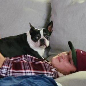 Lost Dog Vera