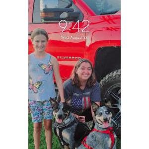 Lost Dog Rocco