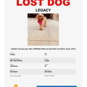 Lost Dog Legacy
