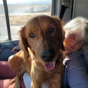 Lost Dog Drake