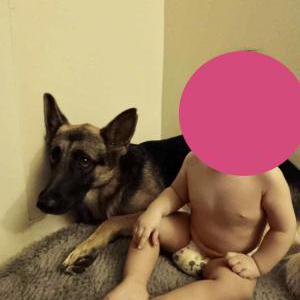 Lost Dog Bella