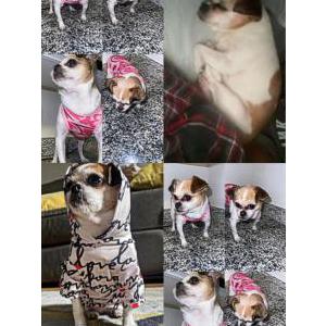 Lost 1 Lady (WI)