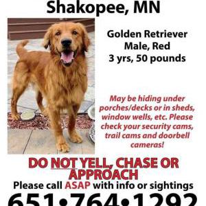 Lost Dog River