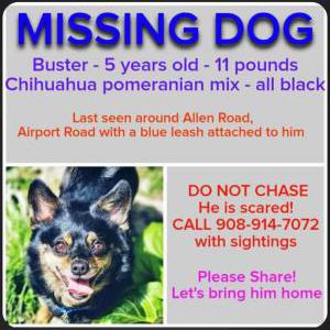 Lost Dog Buster