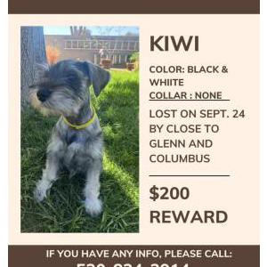 Lost 1 Kiwi (AZ)