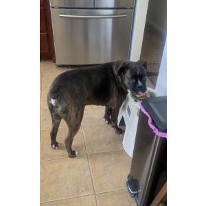 Lost 1 Max (NJ)