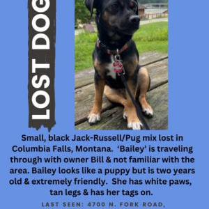Lost 1 Bailey Doughty (MT)
