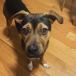 Lost 1 Kemba (CT)