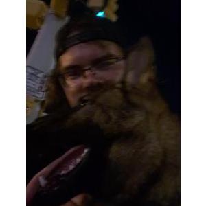 Image of Unknown, Found Dog