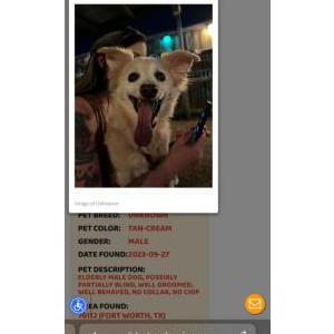 Image of Booter, Lost Dog