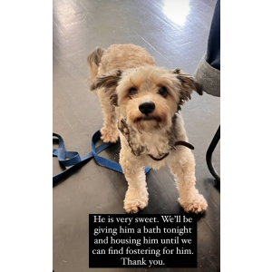 Lost 1 Unknown (CA)