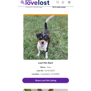 Lost Dog Oreo