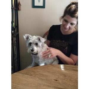 Lost Dog sadie