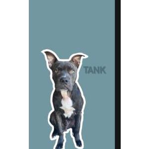 Lost Dog Tank