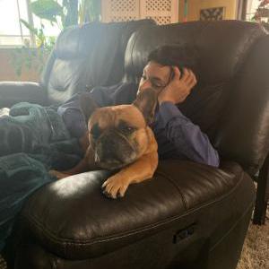 Lost Dog Guido
