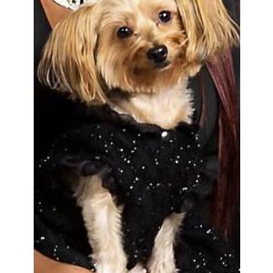 Image of Princess, Lost Dog