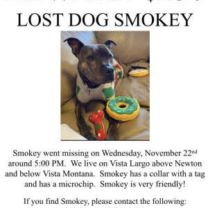 Image of Smokey, Lost Dog