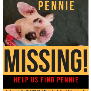 Image of Pennie Montgomery, Lost Dog