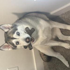 Lost 1 Sky (DC)