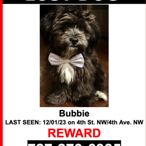 Lost Dog Bubbiw