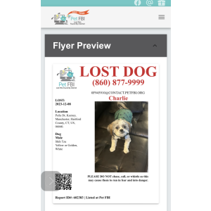 Lost Dog Charlie