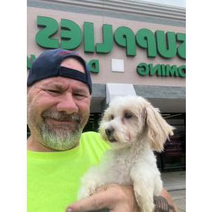 Lost Dog Toby