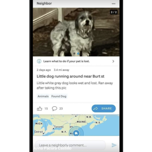 Lost Dog Puchi