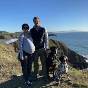Lost Dog Koda