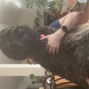 Lost Dog Flower