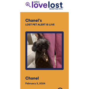 Lost Dog Chanel