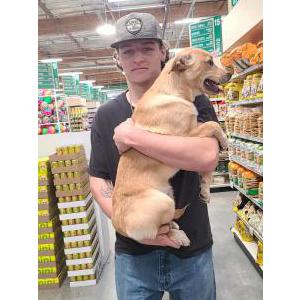 Lost Dog Buster/bubba