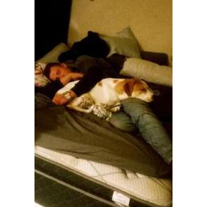 Lost Dog Milo/ Stanley