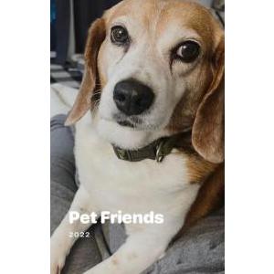 2nd Image of Jackson, Lost Dog