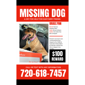 Lost Dog Braelynn