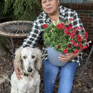 Lost Dog Pierre