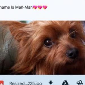 Lost Dog Man~Man