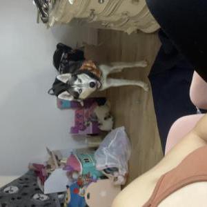Lost Dog Ghost