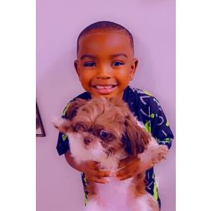 Lost Dog Bella'