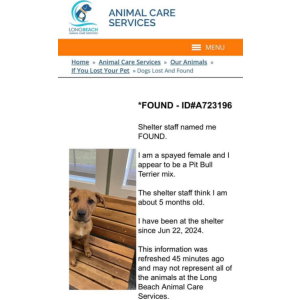 Lost Dog Mocha