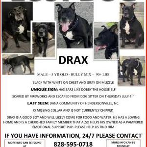 Lost Dog Drax